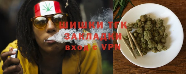 сатива Мегион