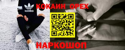 ГАЛЛЮЦИНОГЕННЫЕ ГРИБЫ Кингисепп