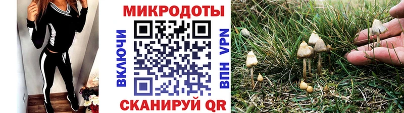 Галлюциногенные грибы ЛСД Саранск