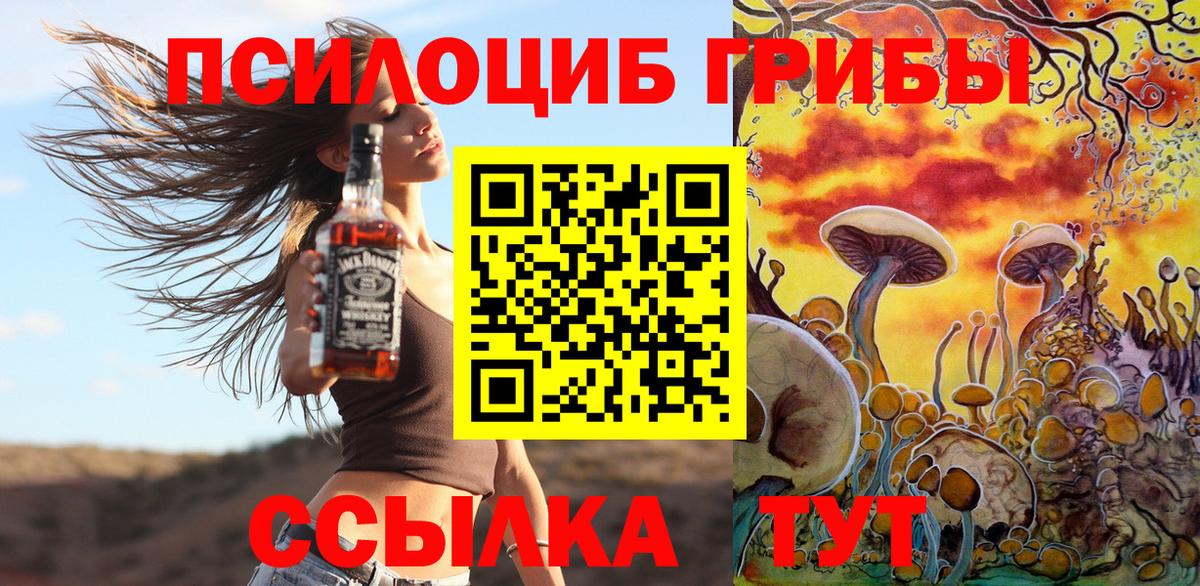 Саранск  Галлюциногенные грибы ЛСД  Вход с VPN  Псилоцибиновые грибы мицелий 