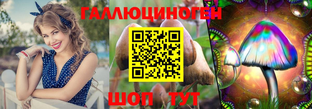 Галлюциногенные грибы мухоморы  Псилоцибиновые грибы Psilocybe  Саранск 