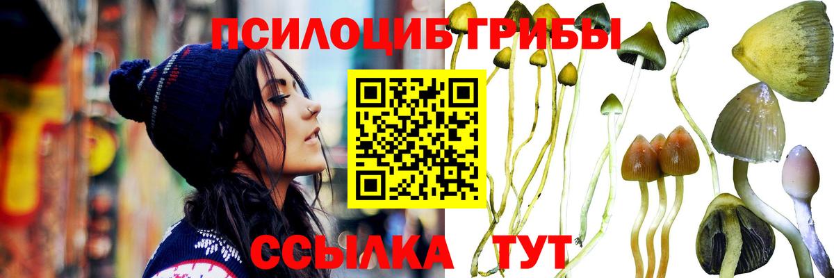Галлюциногенные грибы мухоморы Саранск